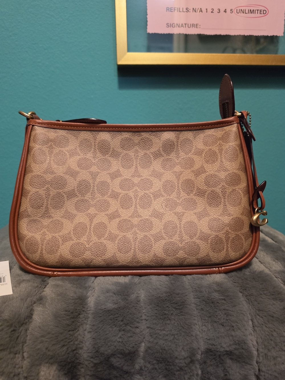 Coach Cary Signature Canvas